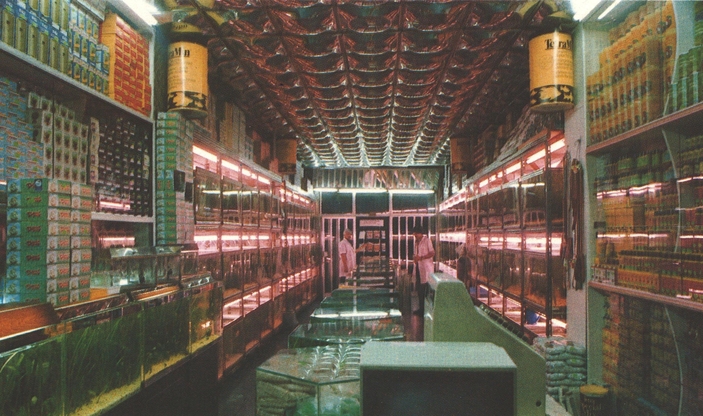 Company Overview