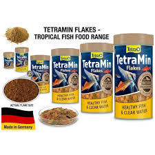 TetraMin Flakes 100ml