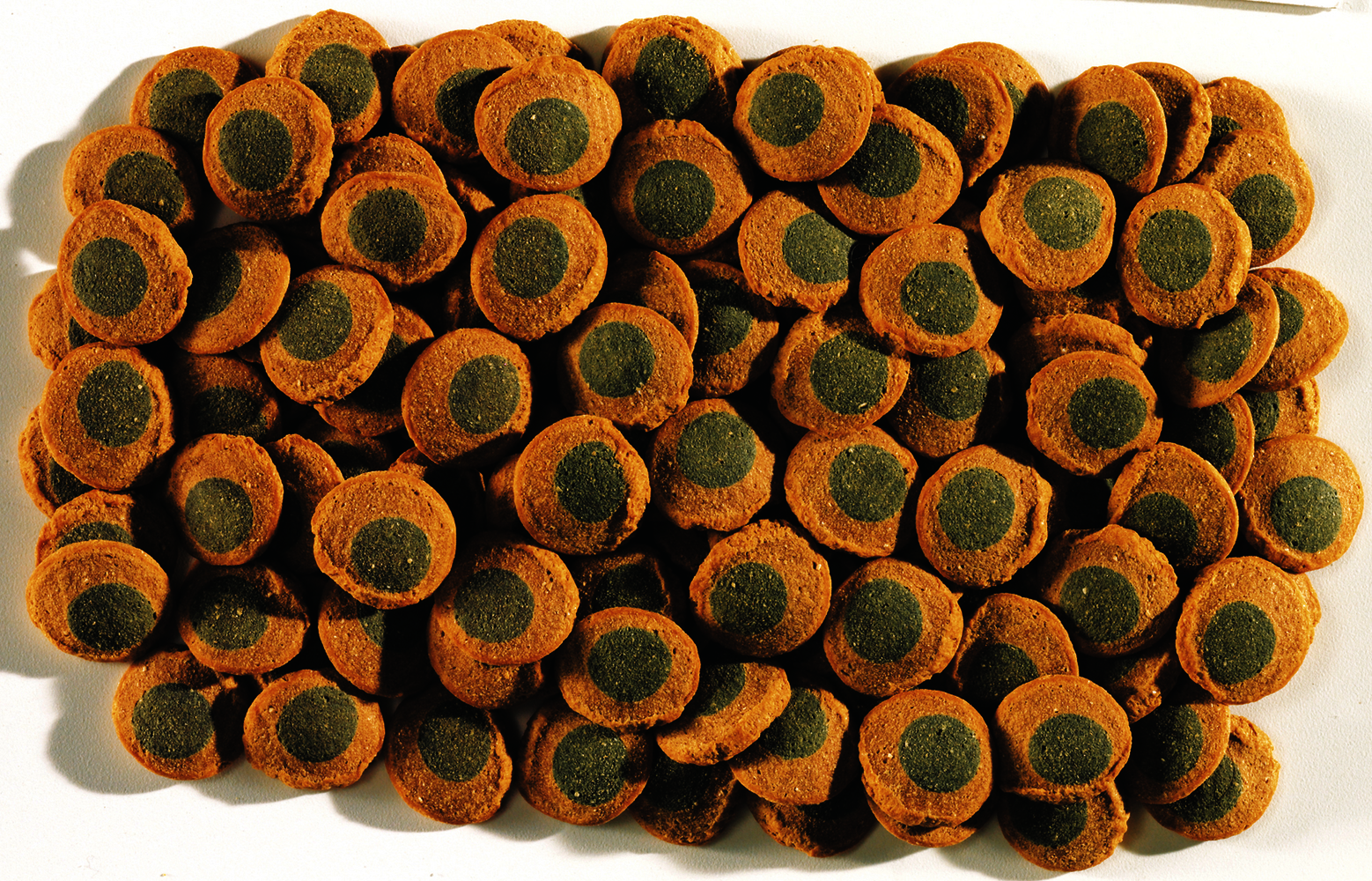 Tetra Pleco Spirulina Wafers 42g