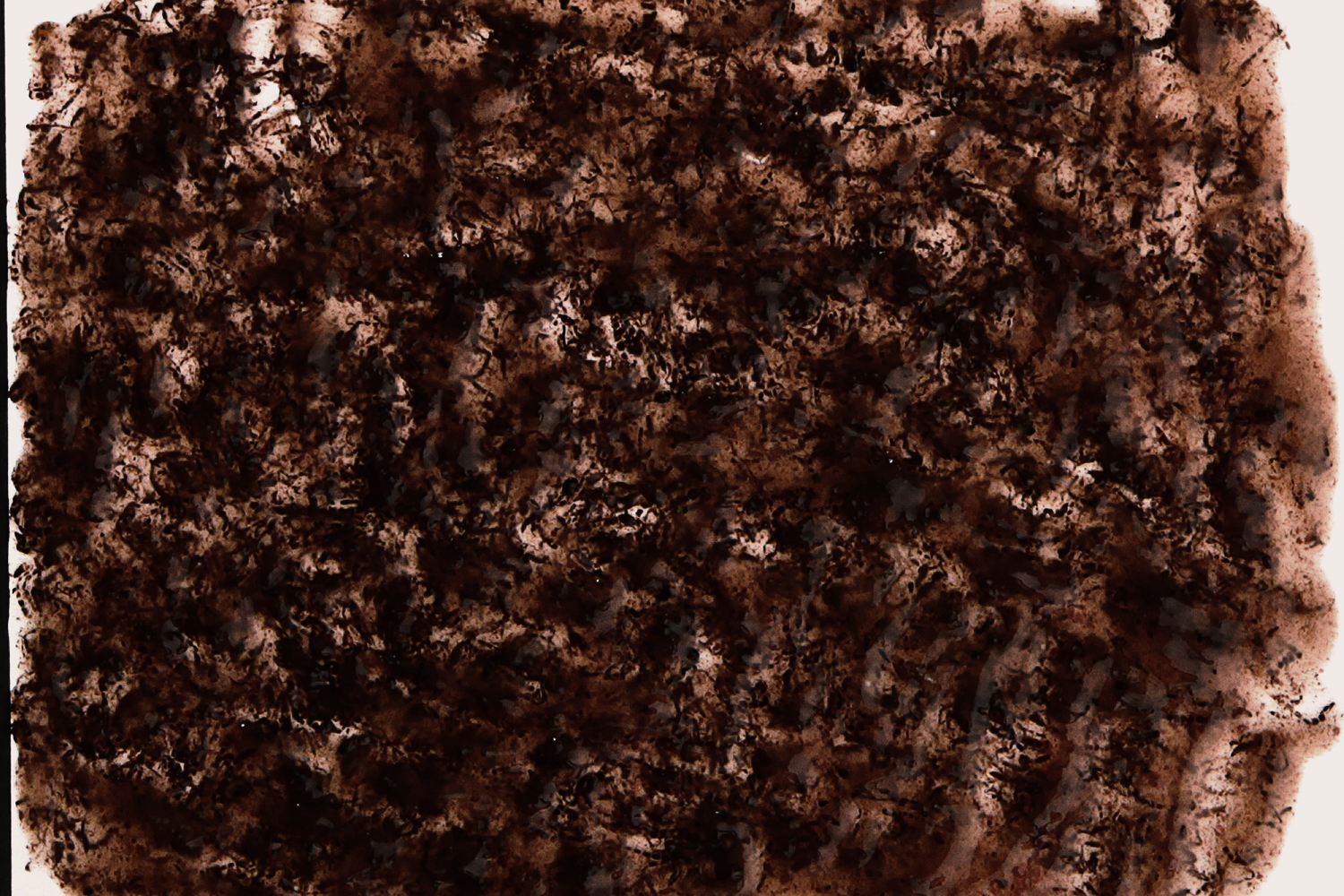 TetraDelica Bloodworms