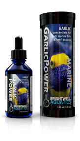 BW GARLIC POWER – 30ML