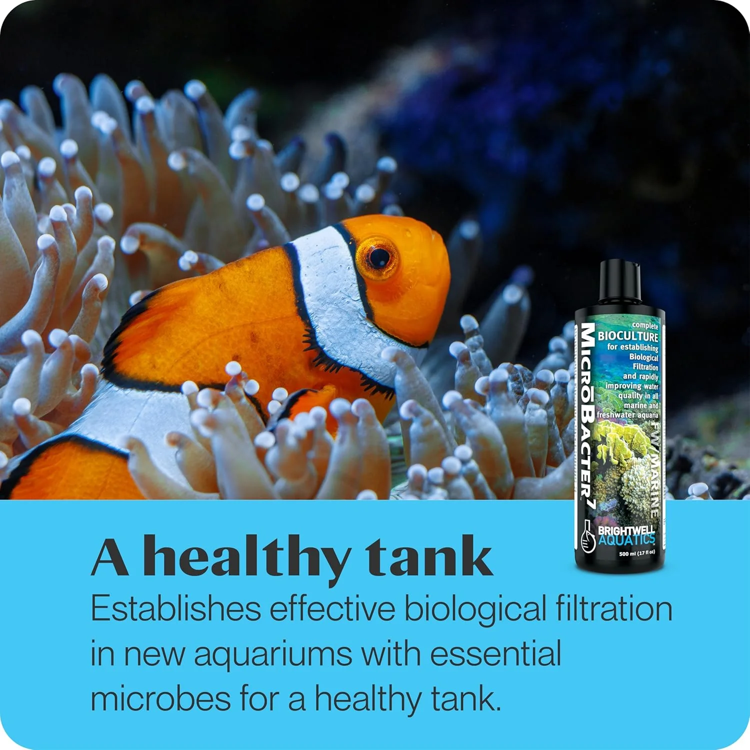BW MICRO BACTER7 500ML