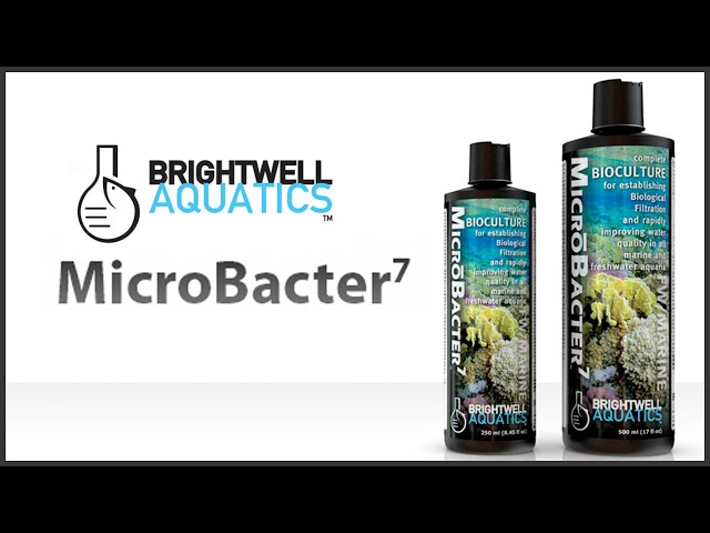 BW MICRO BACTER7 500ML