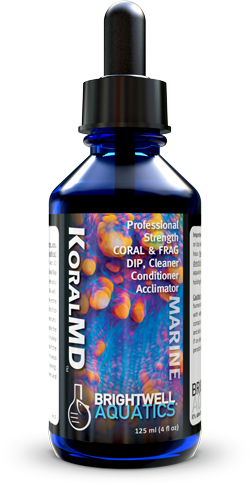 BW CORAL MD DIP 30 ML
