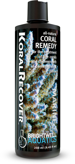 BW KORAL RECOVER M 250ML