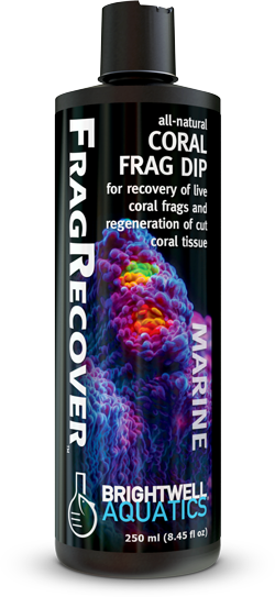 BW FRAG RECOVER 125 ML