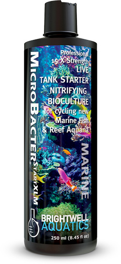 BW MICROBACTER STARTXLM – 500 ML