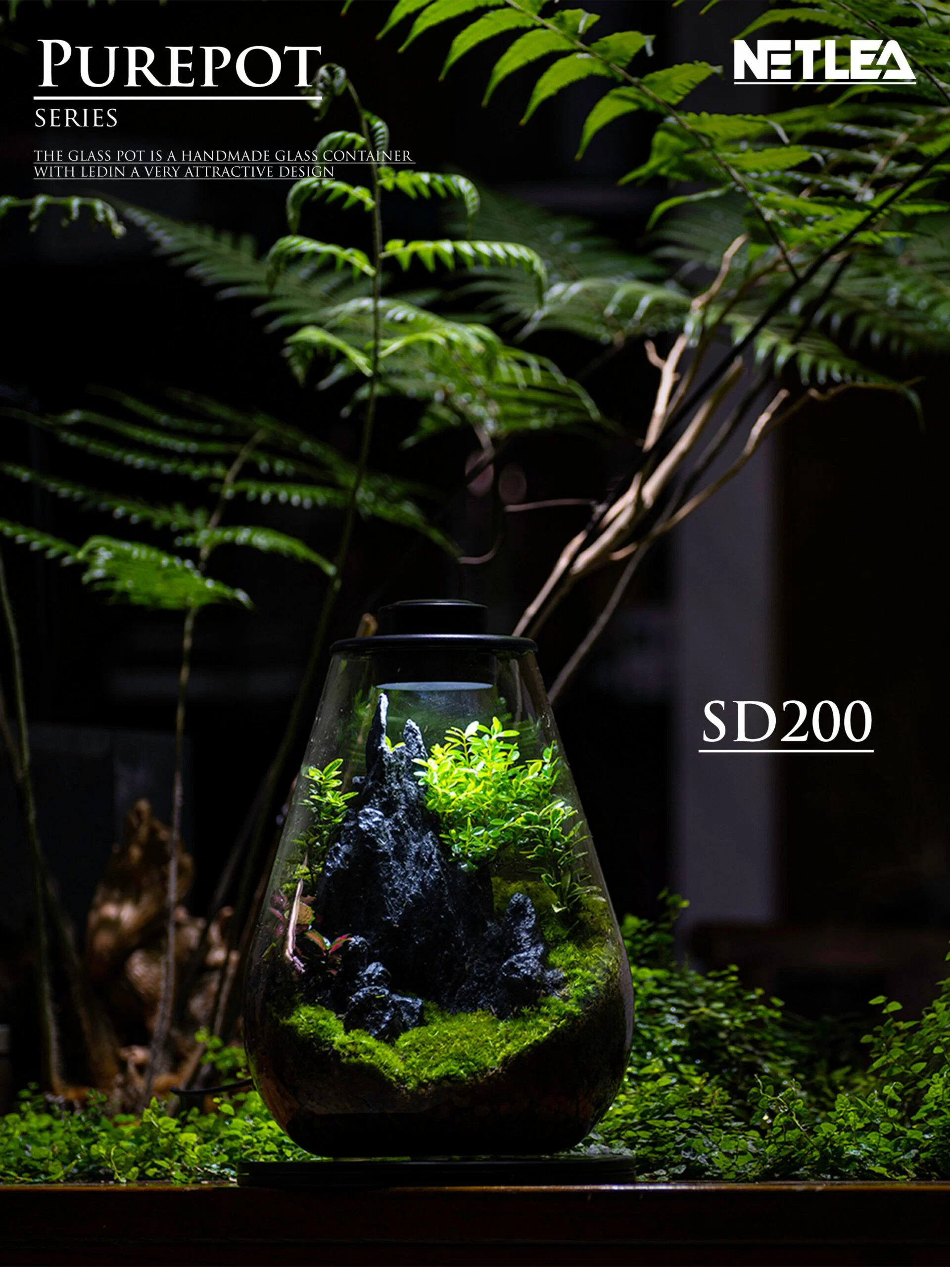 NETLEA TERRARIUM OVAL WTH LIGHT
