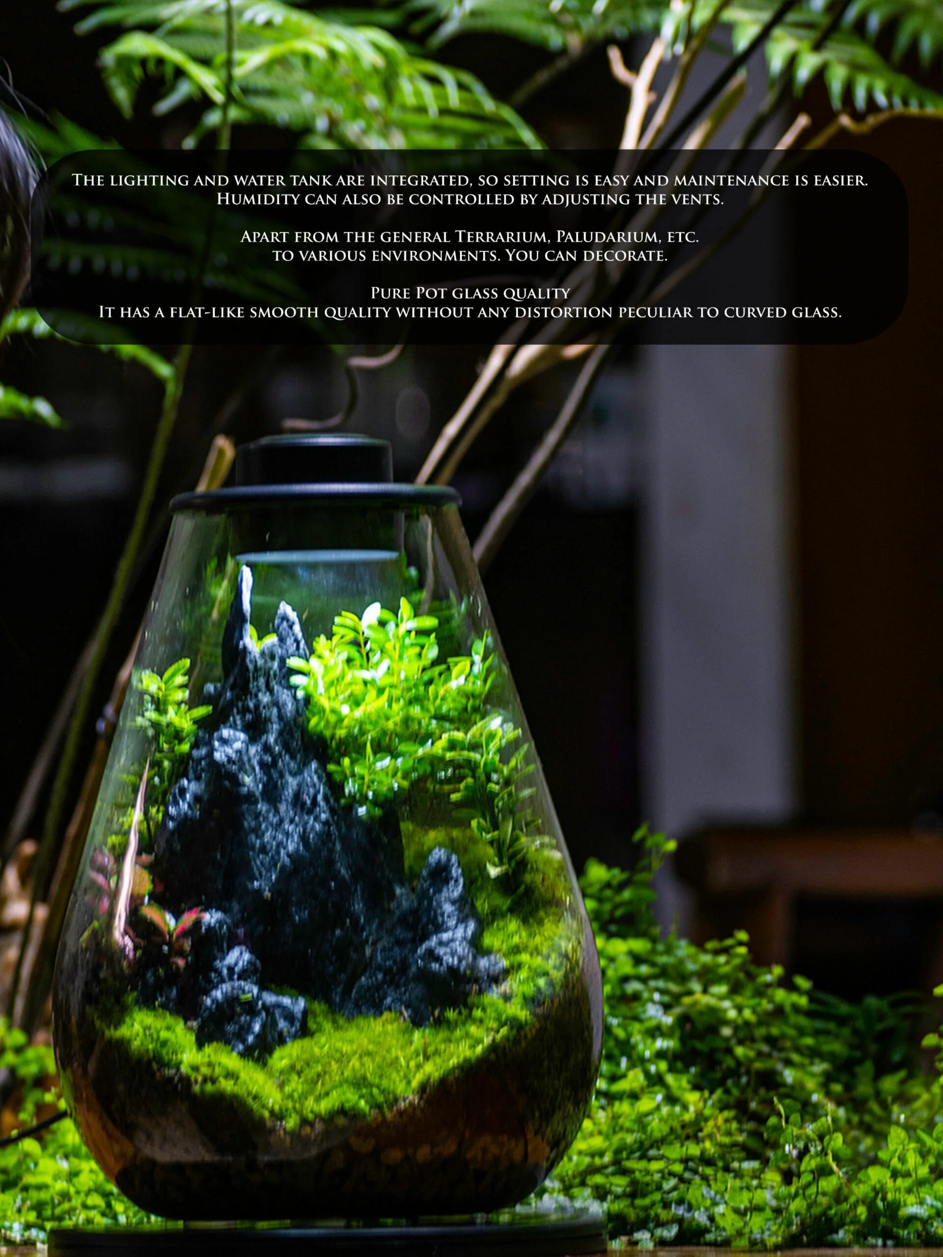 NETLEA TERRARIUM OVAL WTH LIGHT