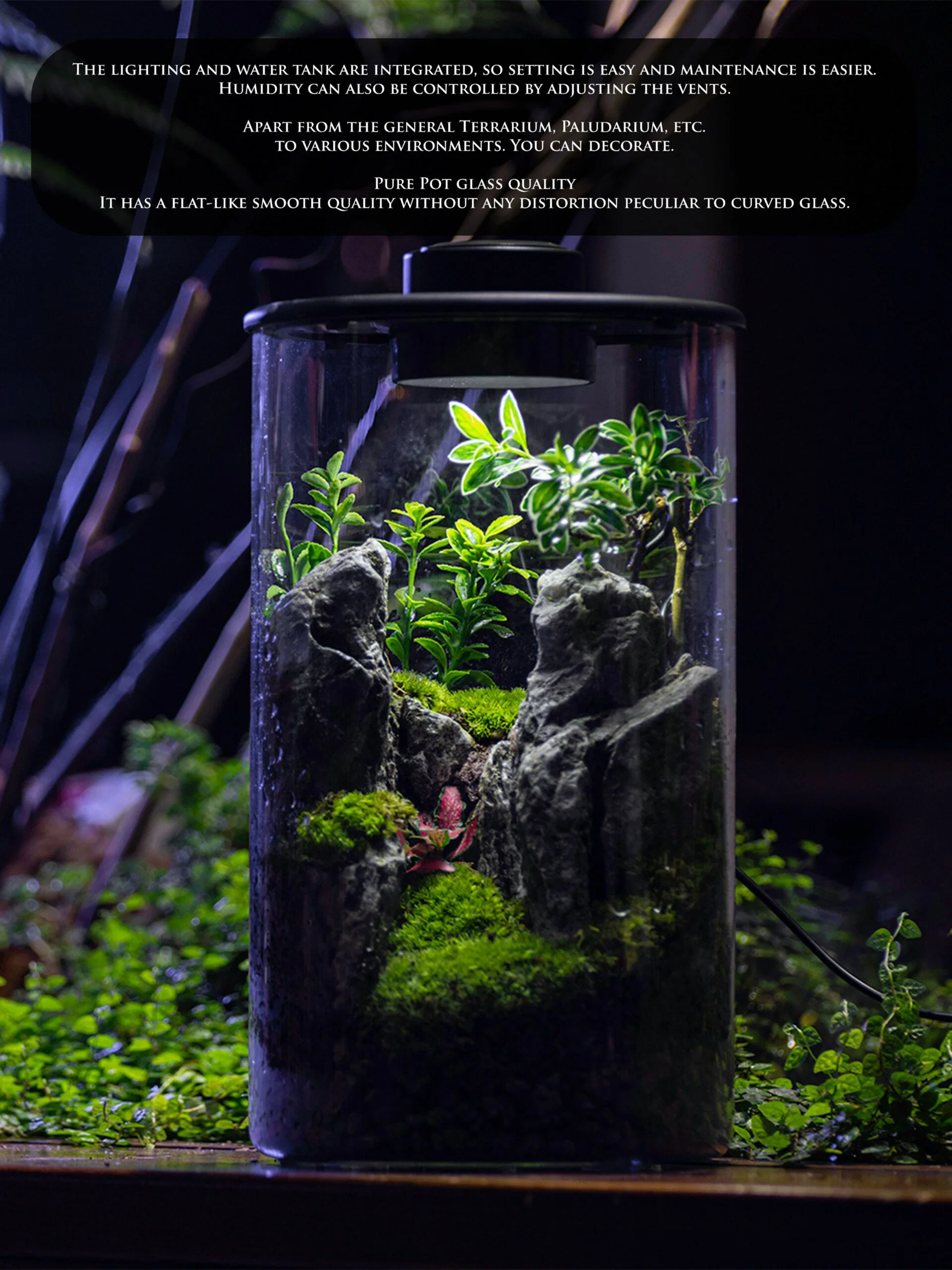 NETLEA TERRARIUM CYLINDER WTH LIGHT