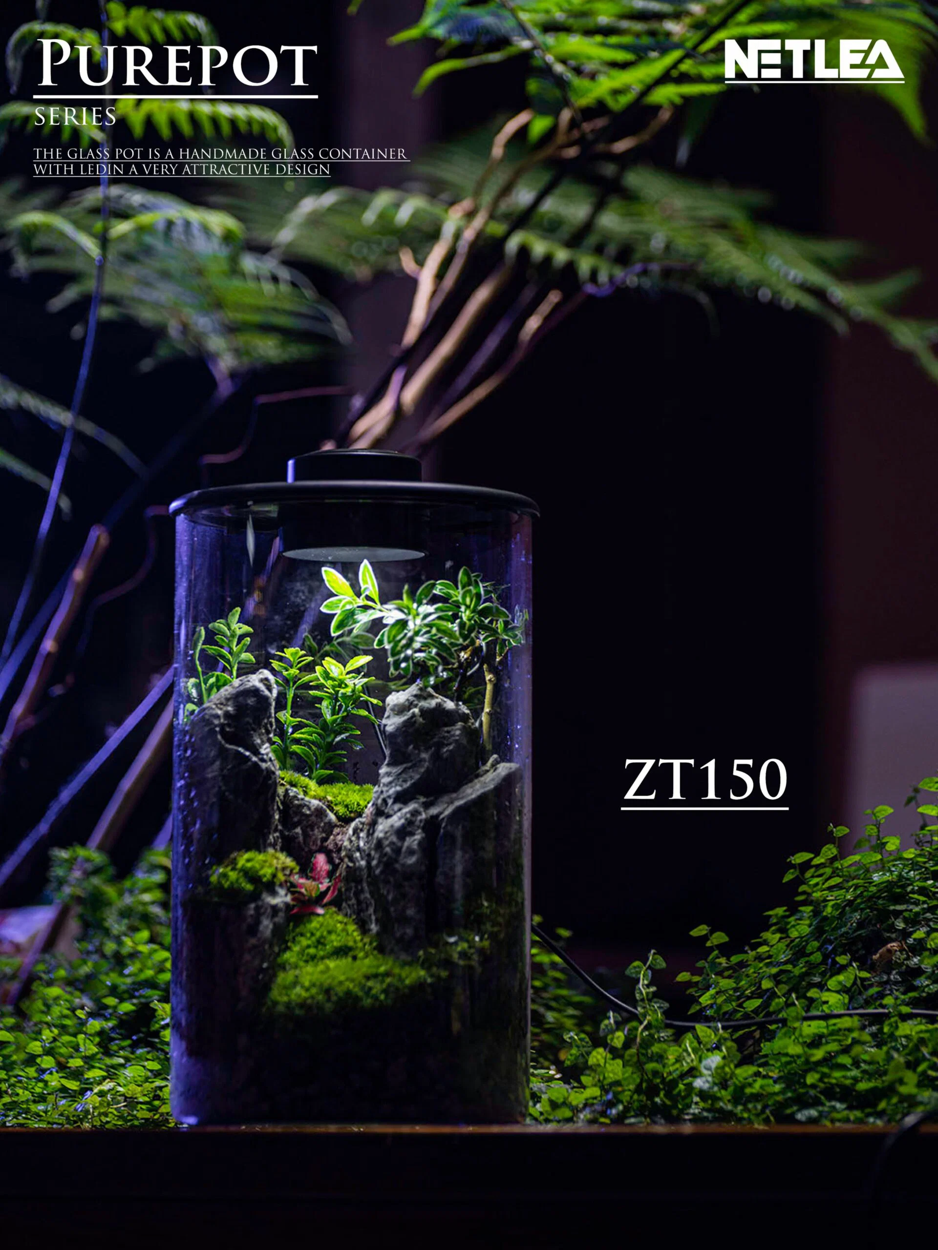 NETLEA TERRARIUM CYLINDER WTH LIGHT