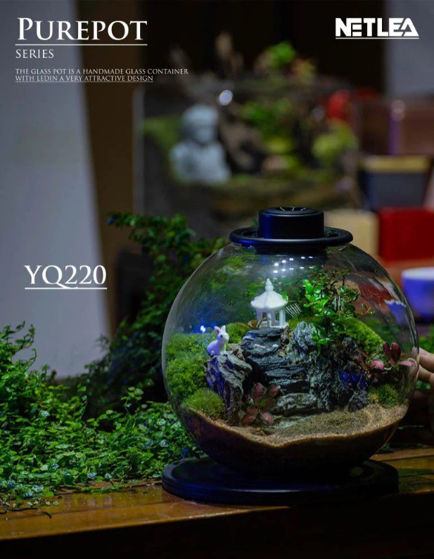 NETLEA TERRARIUM BALL WTH LIGHT