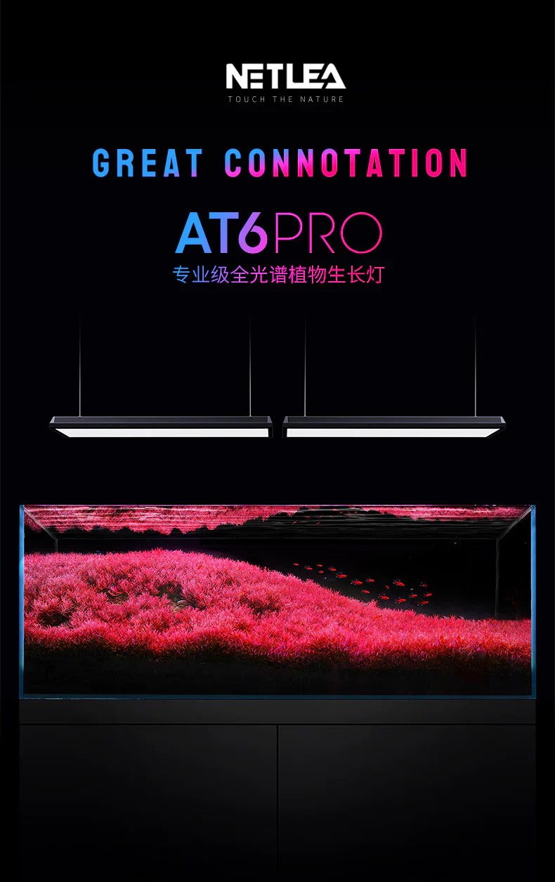 NETLEA LIGHT AT6S PRO