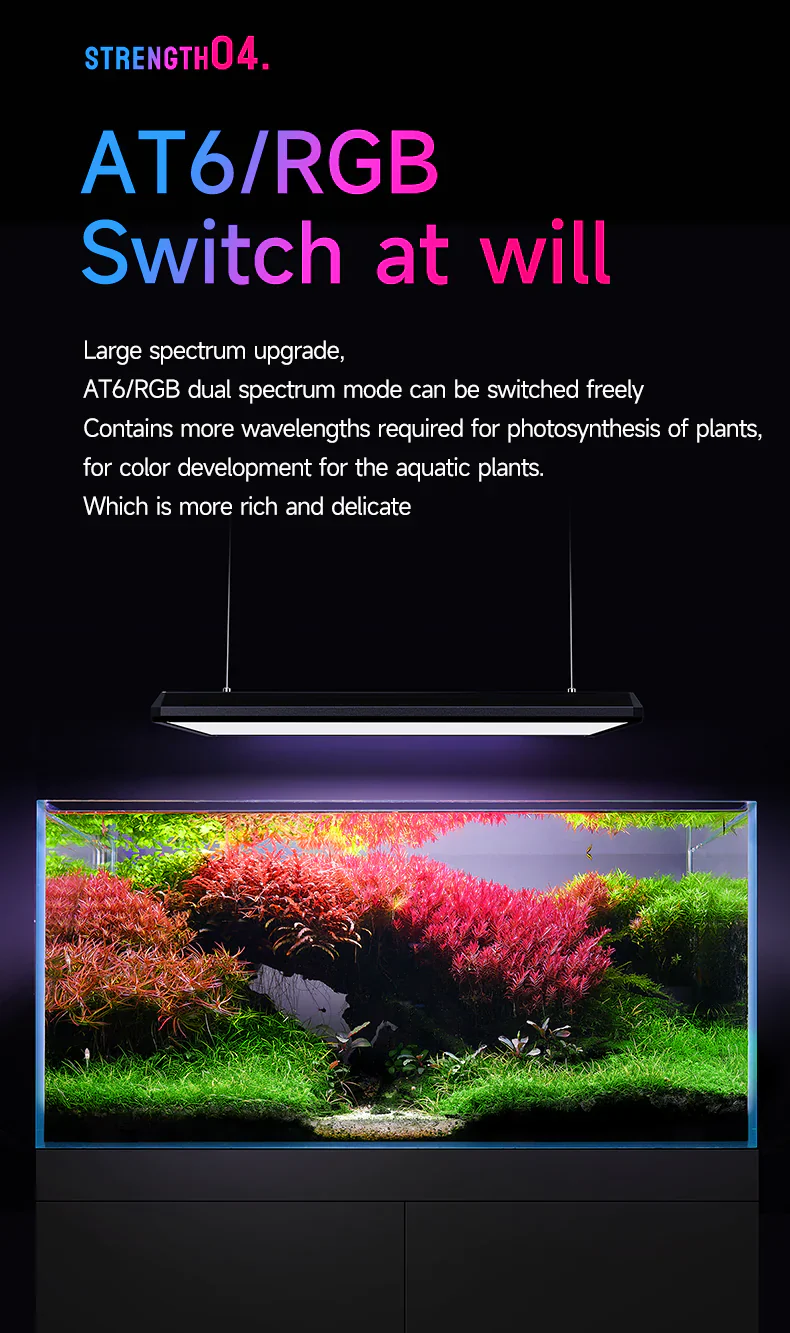NETLEA LIGHT AT6S PRO