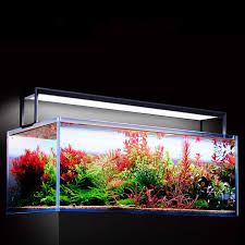 NETLEA LIGHT AT6S PRO