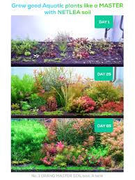 NETLEA GRAND MASTER SOIL 8L