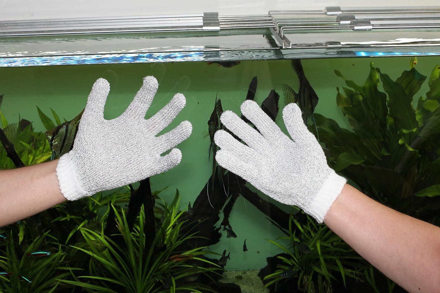 JBL PROSCAPE CLEANING GLOVE S/M