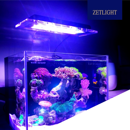 Zetlight ZA1201-AI