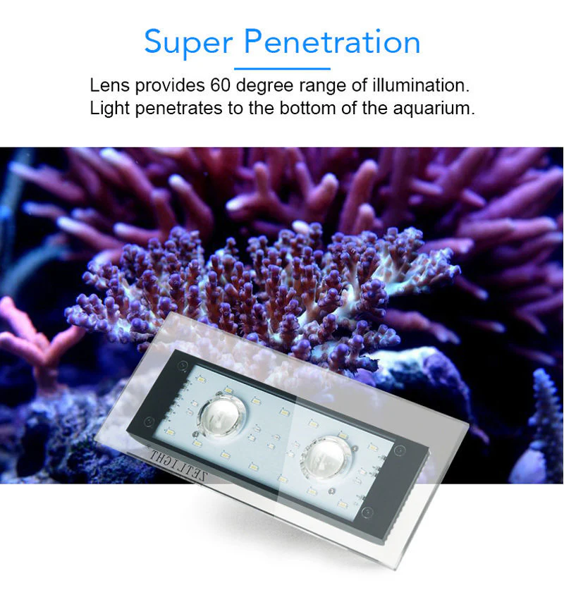 Zetlight ZA1201-AI