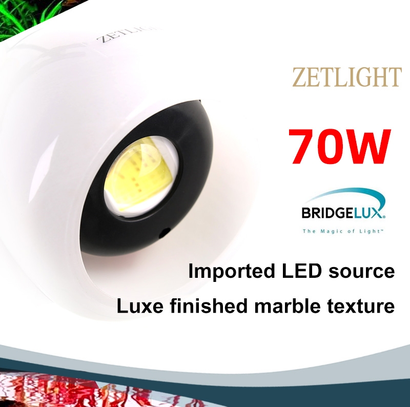 Zetlight O2 Freshwater Wi‑Fi