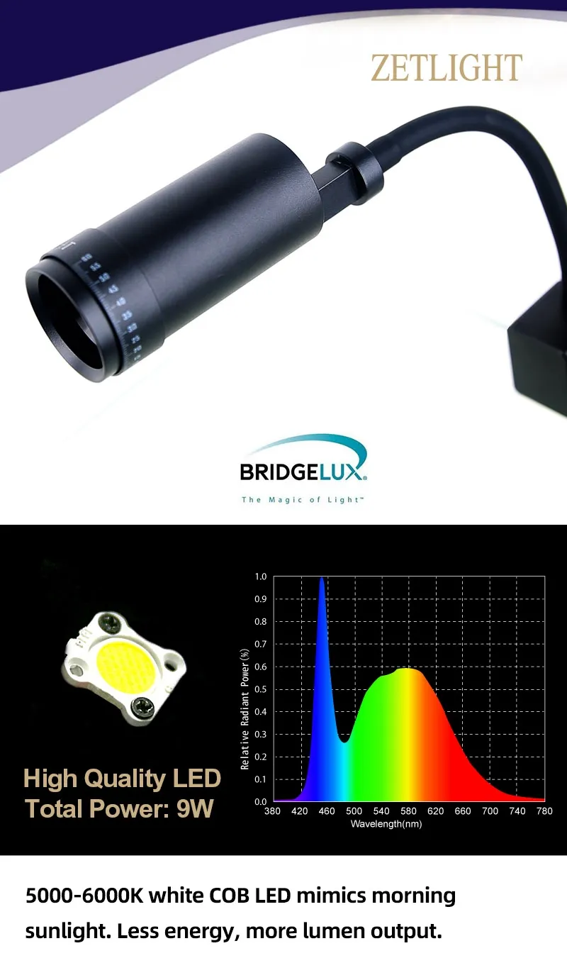 Zetlight S1 Wi‑Fi & Bluetooth