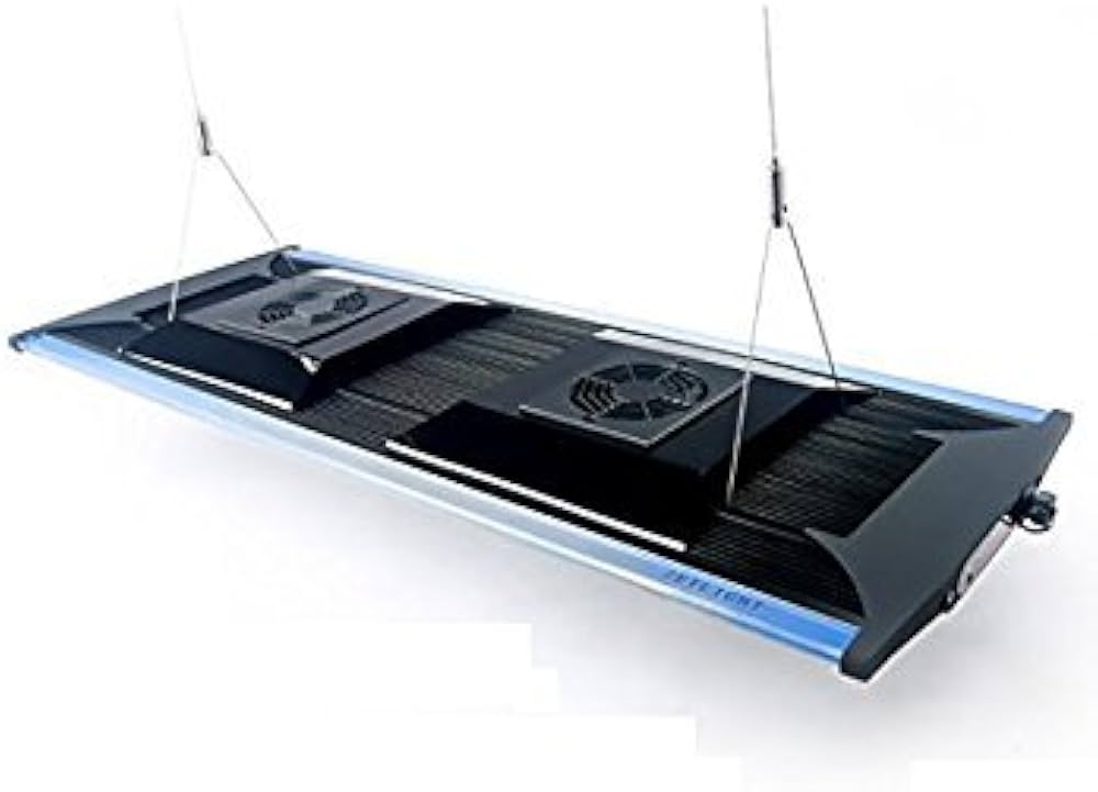 Zetlight Qmaven II 6800