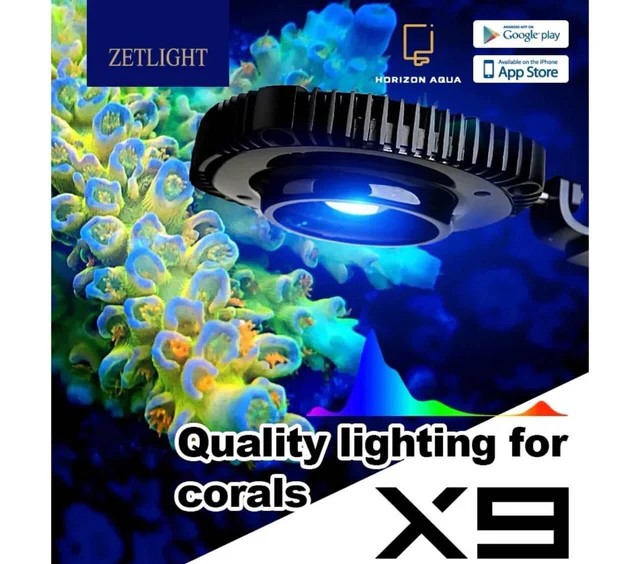 Zetlight X9 96W
