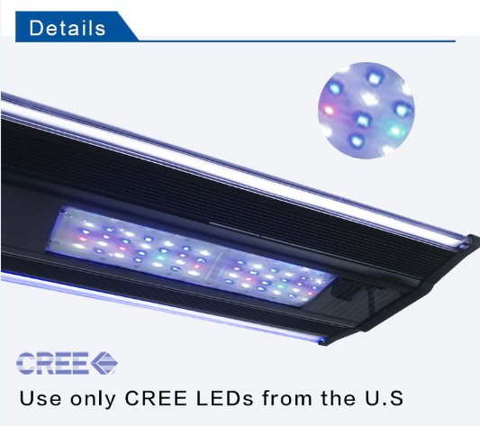 ZETLIGHT Q6 - 60 95W