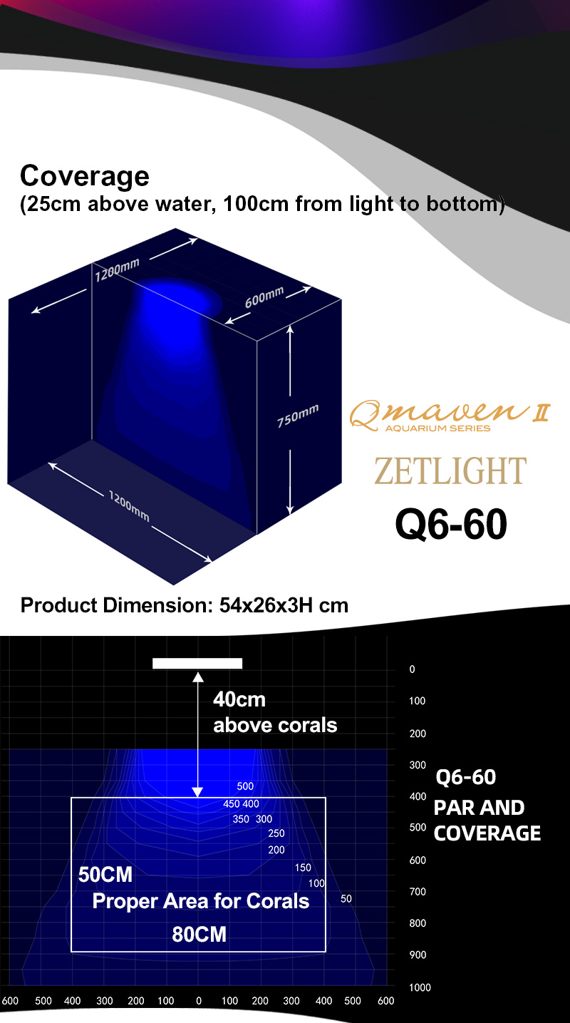 ZETLIGHT Q6 - 60 95W