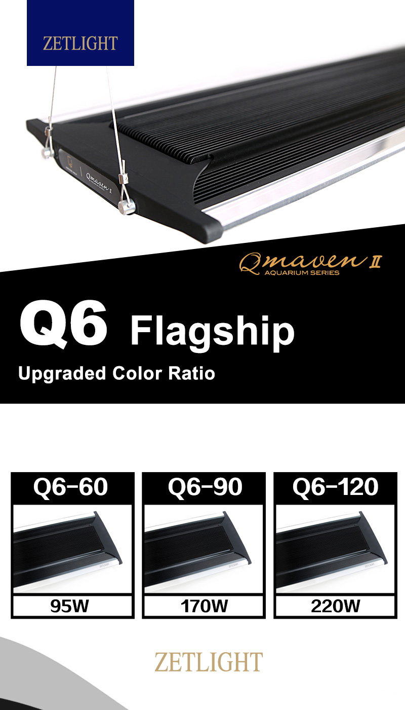 ZETLIGHT Q6 - 60 95W