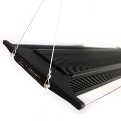 Zetlight Hanging Kit for Q6