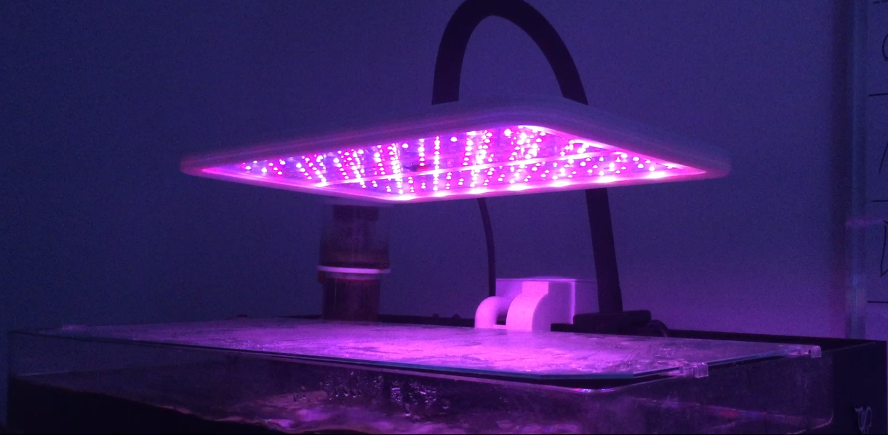 ZETLIGHT E200S SWITCH