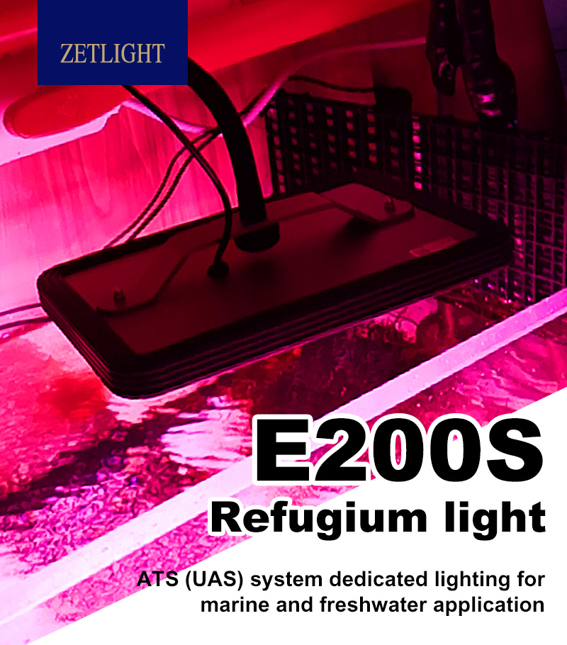 ZETLIGHT E200S WIFI