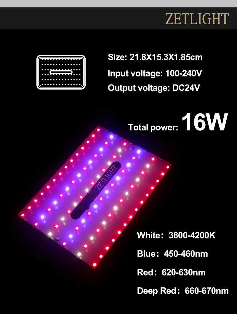 ZETLIGHT E200S WIFI