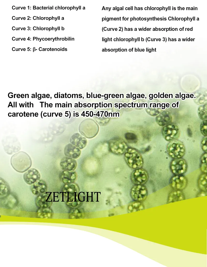 ZETLIGHT E200S WIFI
