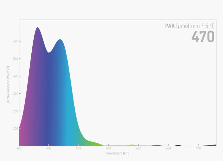 Reef Factory Reef Flare Pro L (Black)
