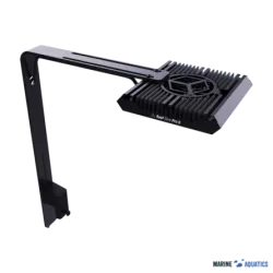 RF REEF FLARE PRO ARM S (BLACK)