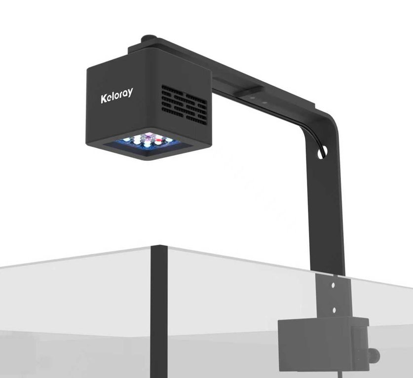 KELORAY LED LIGHT G160