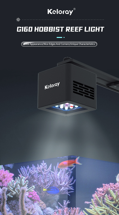 KELORAY LED LIGHT G160