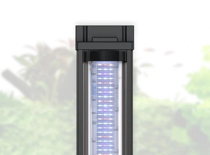 AQ. AQUA TOWER 163 BLACK