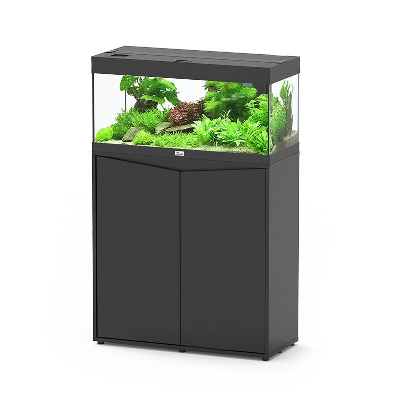 AQ. PRESTIGE ULTRA 80 001 BLACK