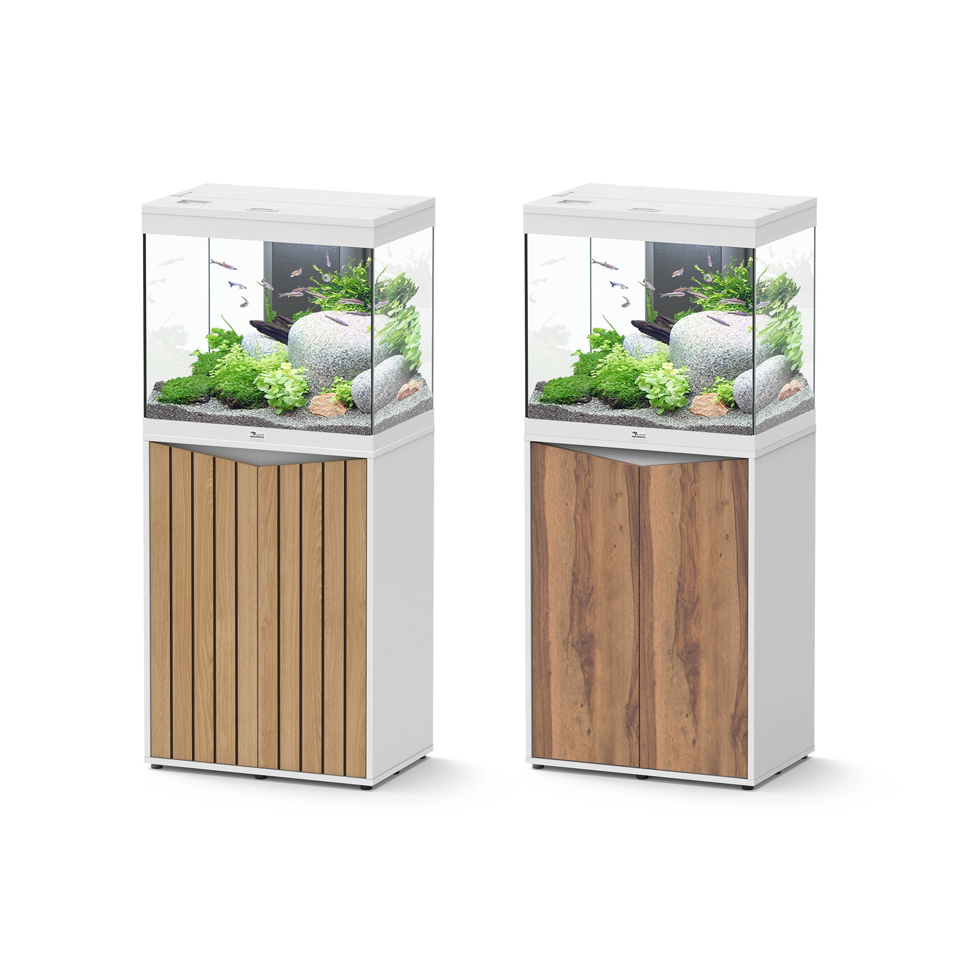 AQ. SPLENDID ULTRA 60 088 WHITE OAK