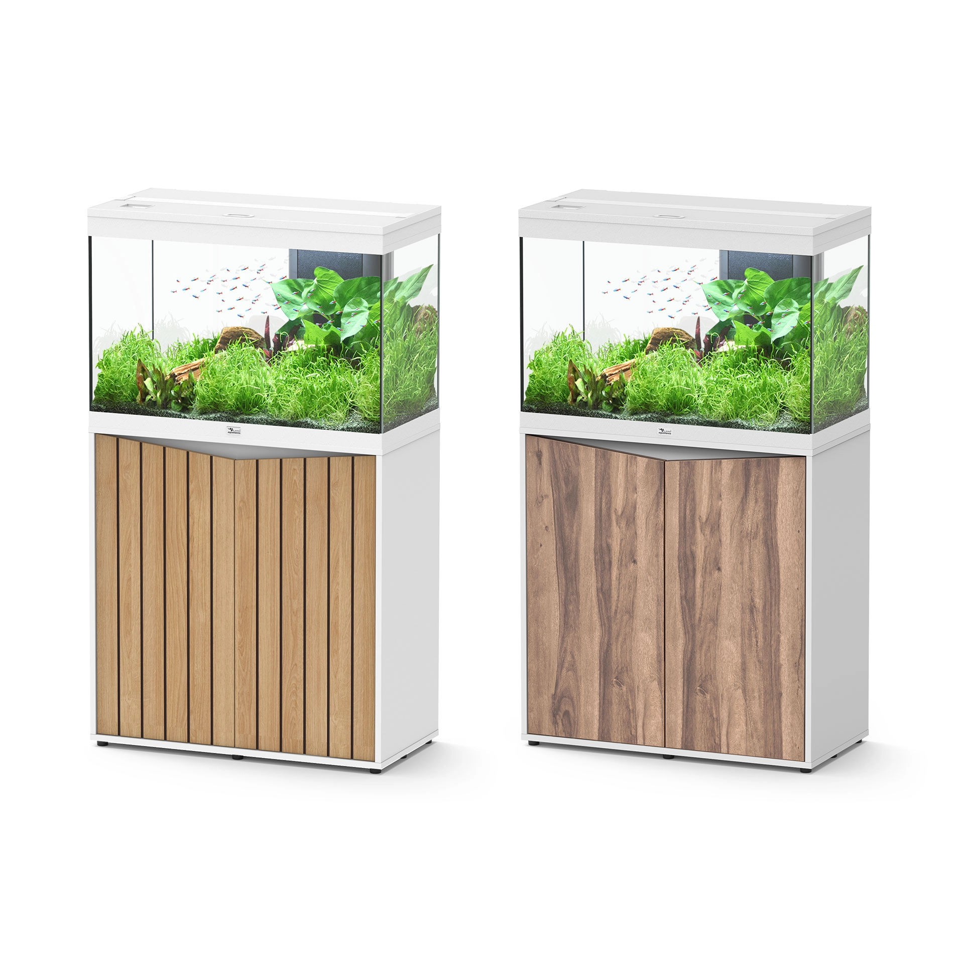 AQ. SPLENDID ULTRA 80 088 WHITE OAK