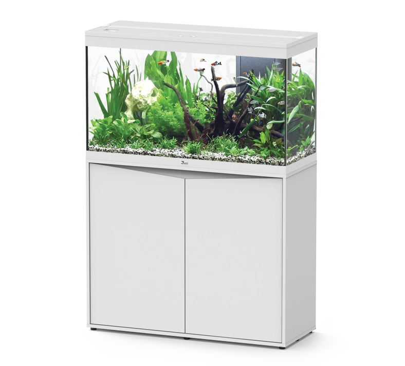 AQ. SPLENDID ULTRA 100 088 WHITE OAK
