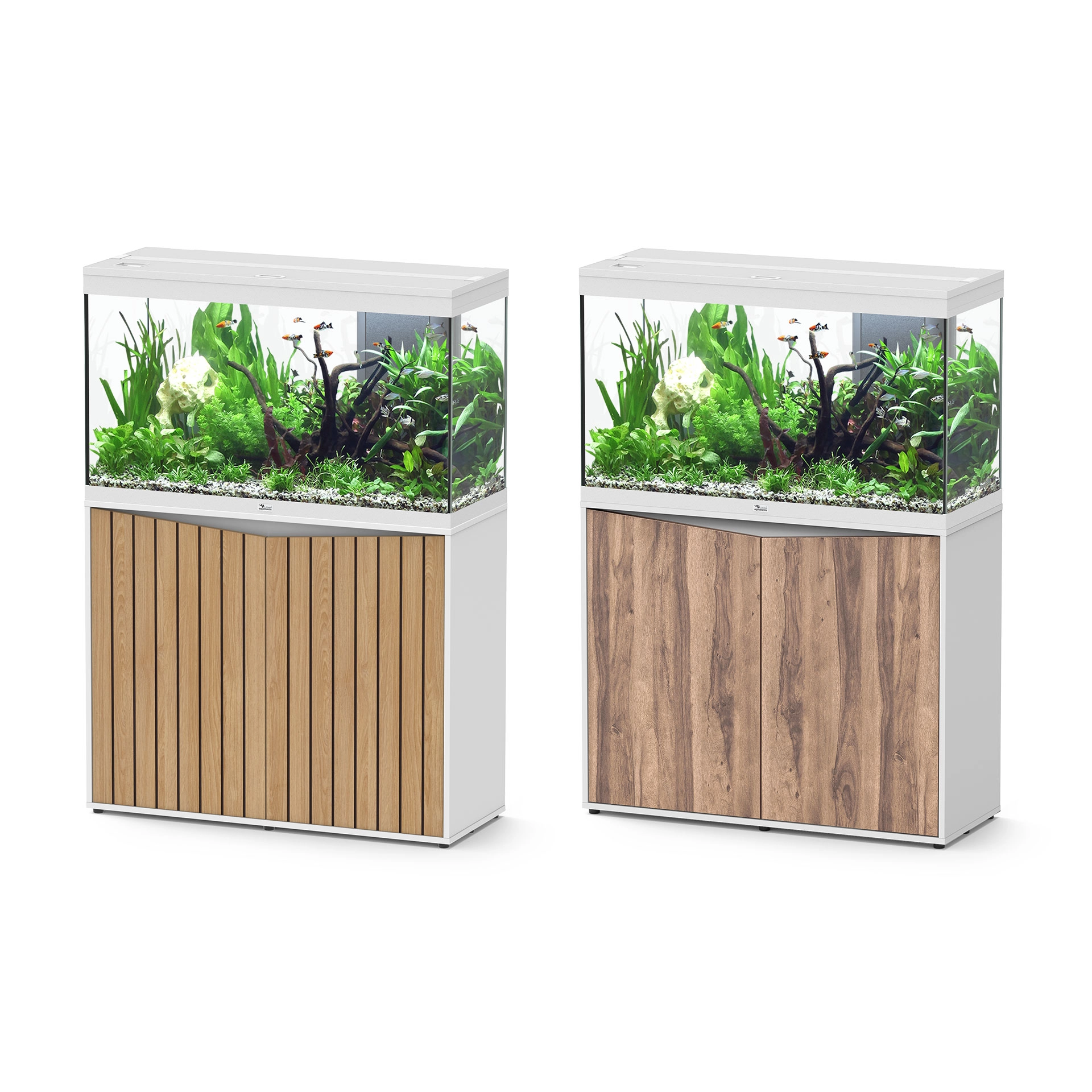AQ. SPLENDID ULTRA 100 088 WHITE OAK