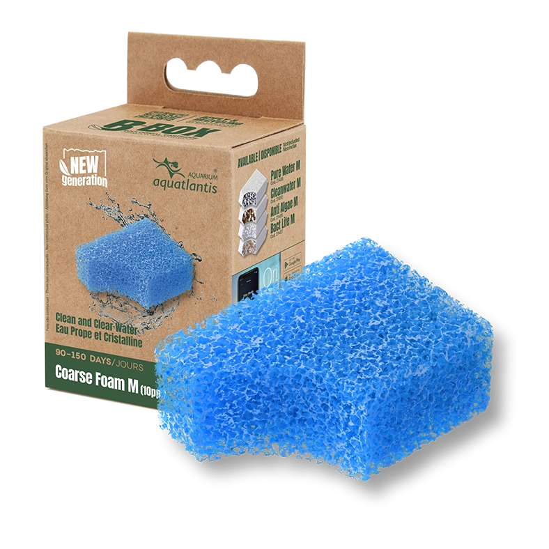 RECHARGE B-BOX COARSE FOAM M