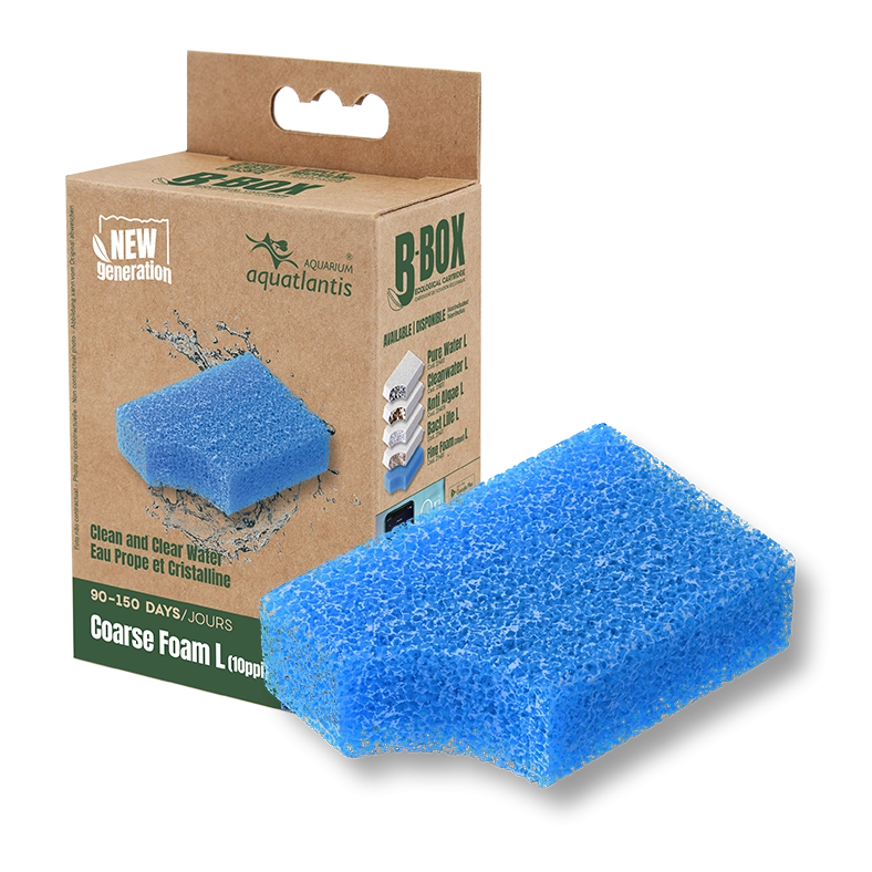 RECHARGE B-BOX COARSE FOAM L