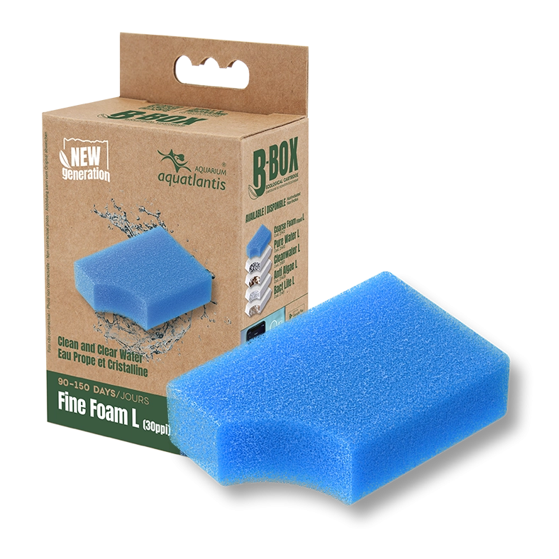 RECHARGE B-BOX FINE FOAM L