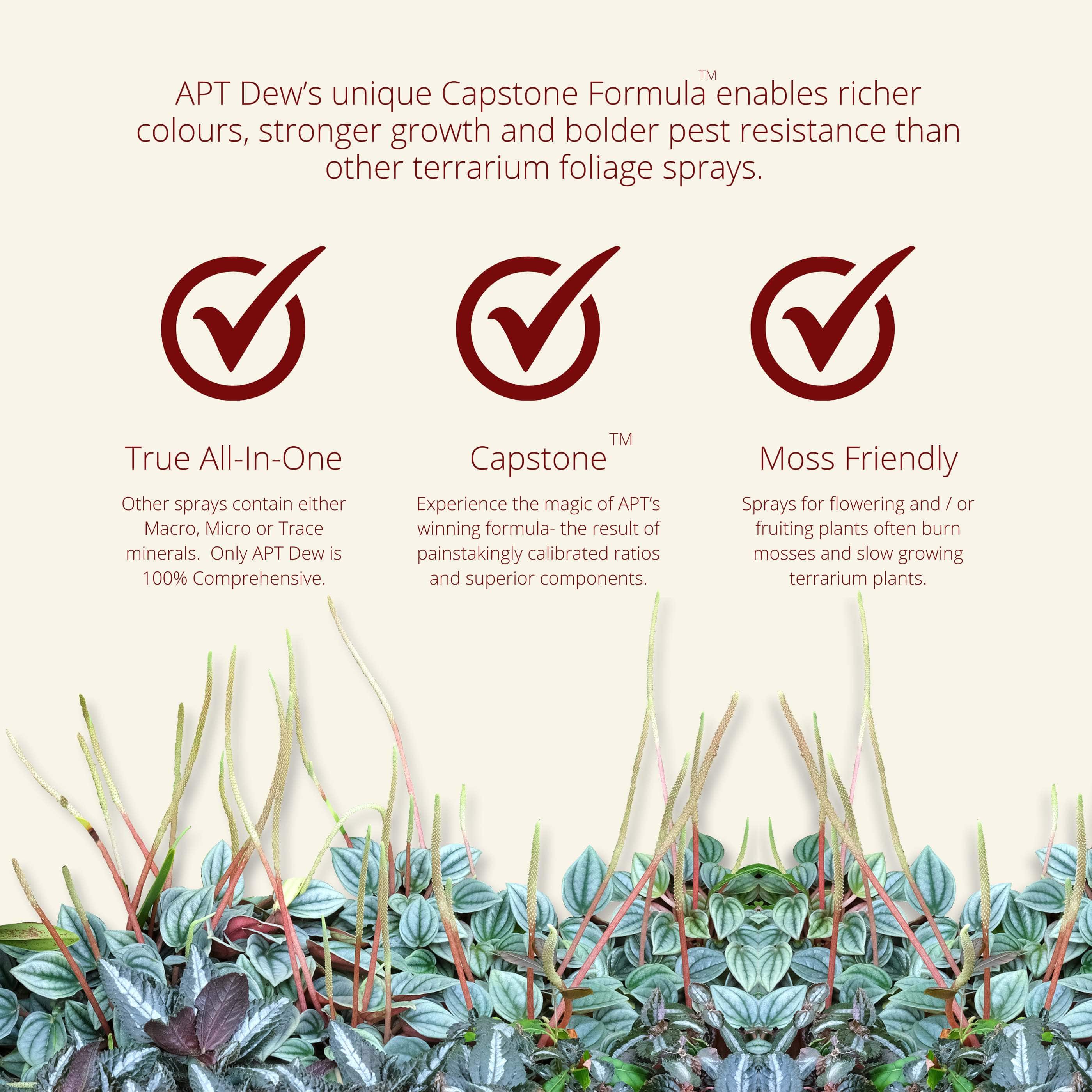 APT DEW 100ML