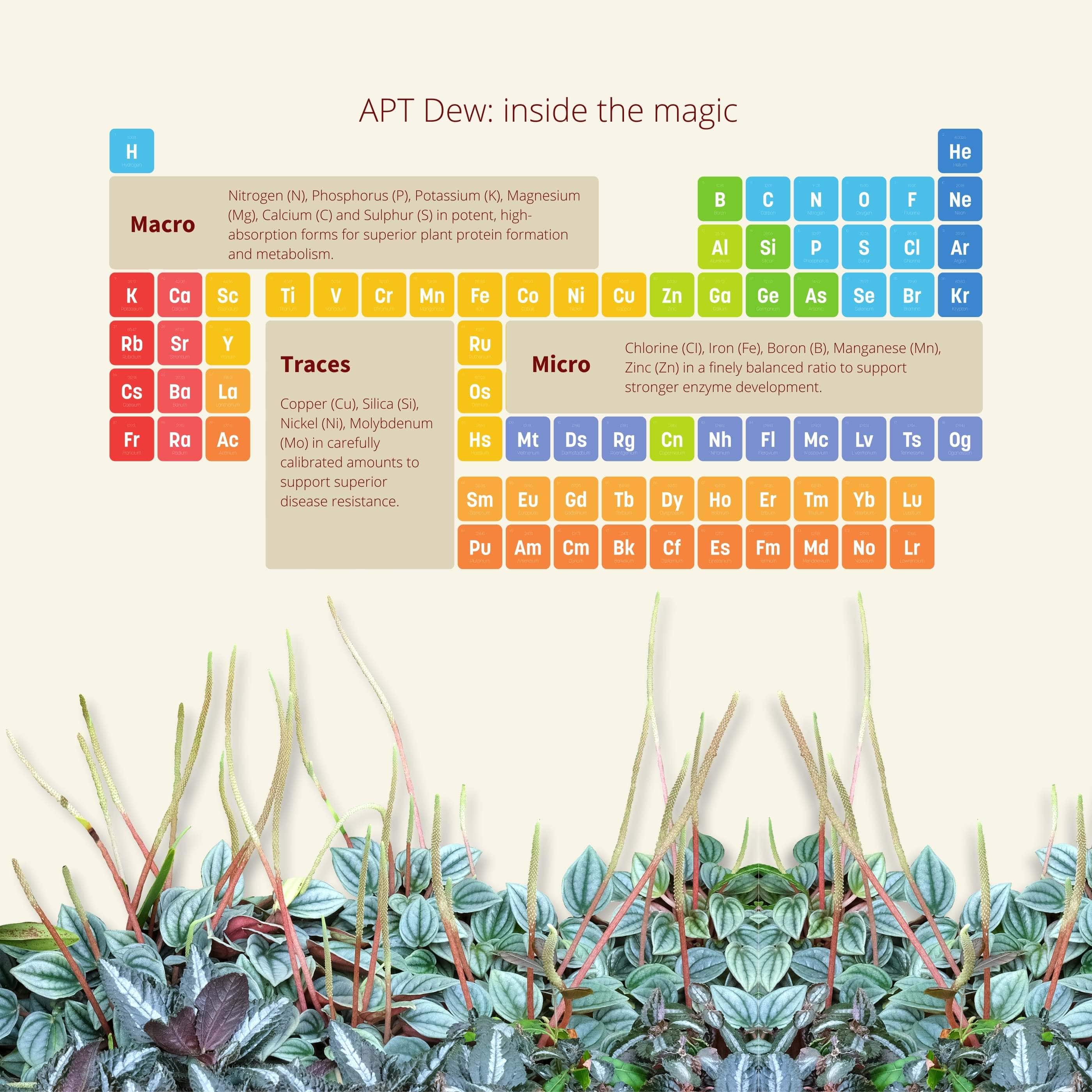 APT DEW 100ML